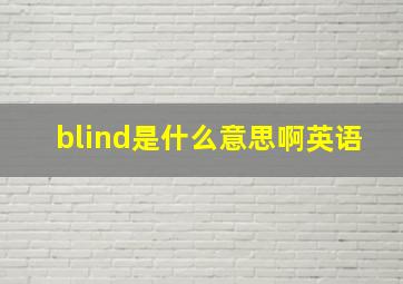 blind是什么意思啊英语