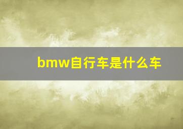 bmw自行车是什么车