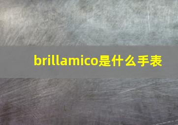 brillamico是什么手表