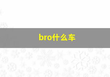 bro什么车