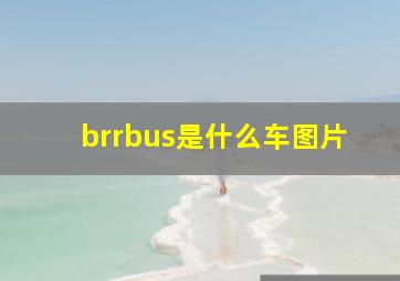 brrbus是什么车图片