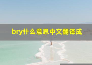 bry什么意思中文翻译成