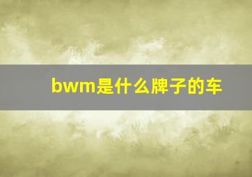 bwm是什么牌子的车