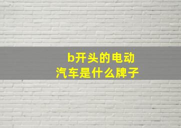 b开头的电动汽车是什么牌子