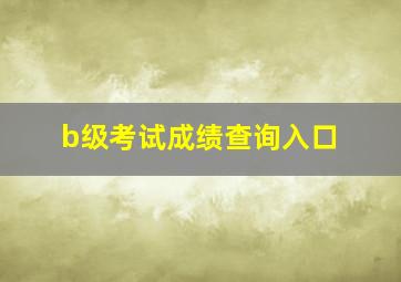 b级考试成绩查询入口