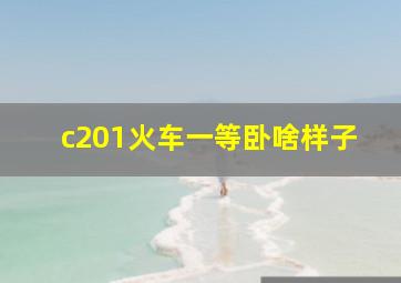 c201火车一等卧啥样子