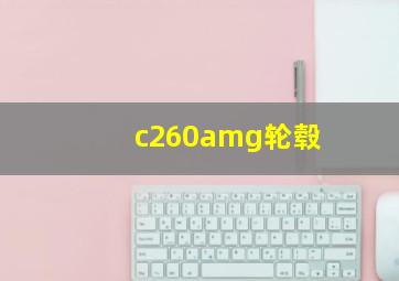 c260amg轮毂