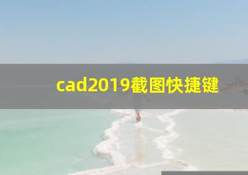 cad2019截图快捷键