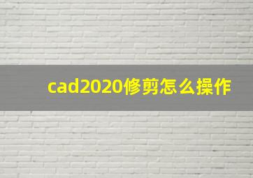 cad2020修剪怎么操作