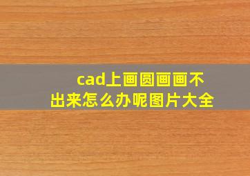 cad上画圆画画不出来怎么办呢图片大全