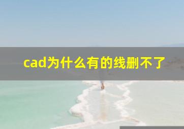 cad为什么有的线删不了