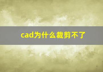 cad为什么裁剪不了