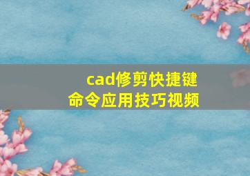 cad修剪快捷键命令应用技巧视频