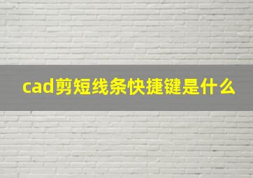 cad剪短线条快捷键是什么