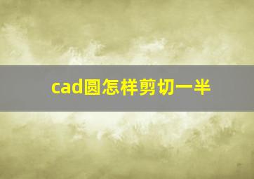 cad圆怎样剪切一半