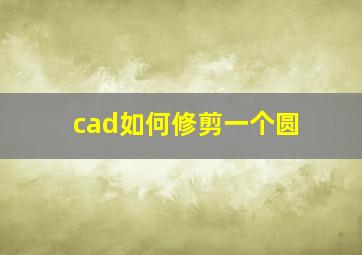 cad如何修剪一个圆