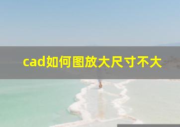 cad如何图放大尺寸不大