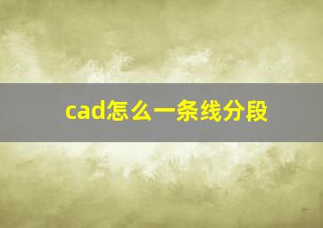 cad怎么一条线分段