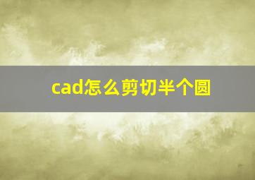 cad怎么剪切半个圆