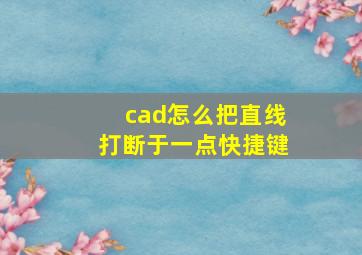 cad怎么把直线打断于一点快捷键