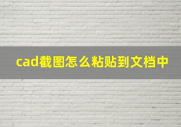 cad截图怎么粘贴到文档中