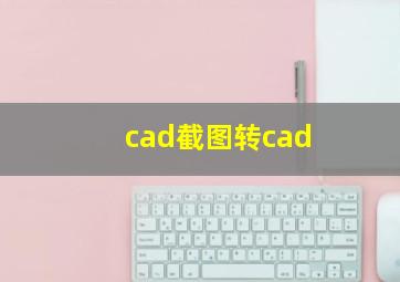 cad截图转cad