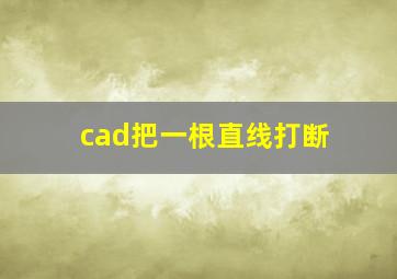 cad把一根直线打断