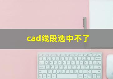 cad线段选中不了