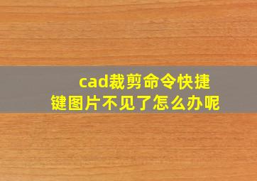 cad裁剪命令快捷键图片不见了怎么办呢