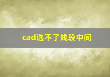 cad选不了线段中间