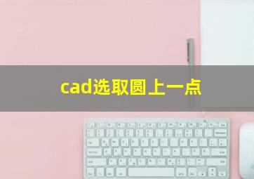 cad选取圆上一点