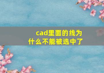 cad里面的线为什么不能被选中了