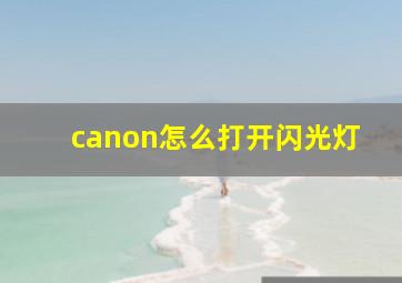 canon怎么打开闪光灯