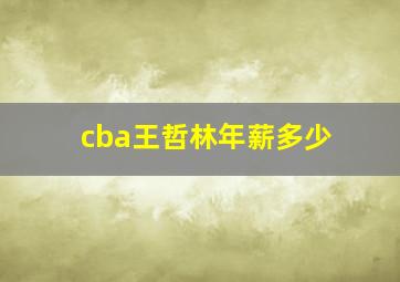 cba王哲林年薪多少