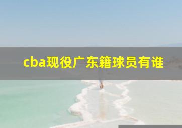 cba现役广东籍球员有谁