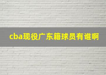 cba现役广东籍球员有谁啊