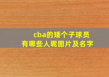 cba的矮个子球员有哪些人呢图片及名字