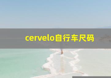 cervelo自行车尺码