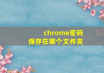 chrome密码保存在哪个文件夹