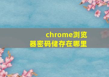 chrome浏览器密码储存在哪里