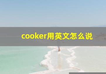 cooker用英文怎么说