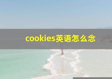 cookies英语怎么念