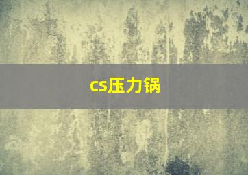 cs压力锅