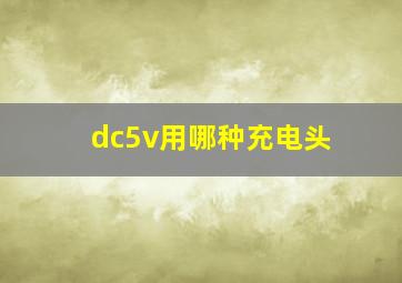 dc5v用哪种充电头