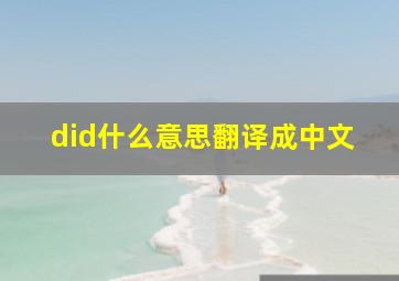 did什么意思翻译成中文