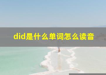 did是什么单词怎么读音