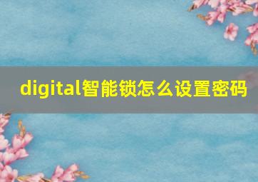 digital智能锁怎么设置密码