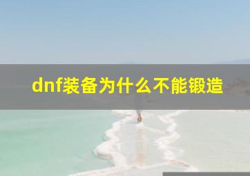 dnf装备为什么不能锻造