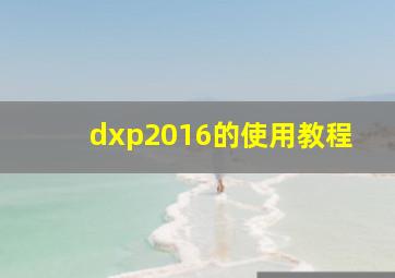 dxp2016的使用教程