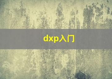 dxp入门